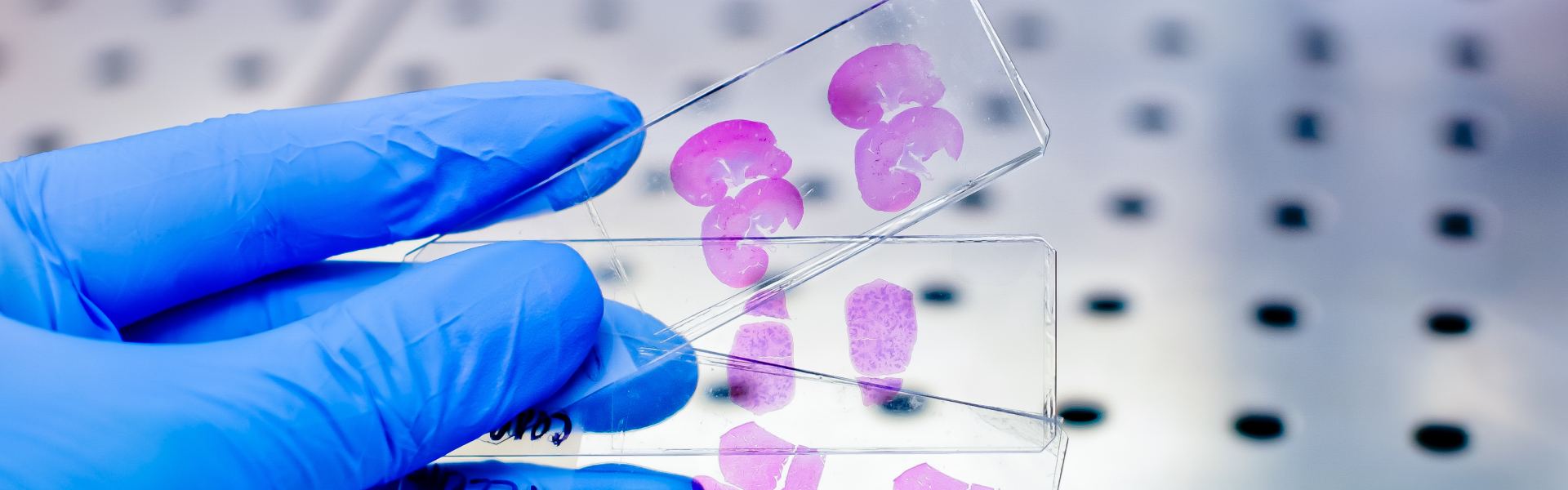 Histology wax